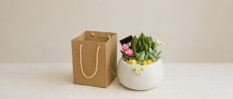 Từ Nhu Cầu đến Chậu Cây Hoàn Chỉnh: Tổ Xanh Phục Vụ Khách Hàng Như Thế Nào?