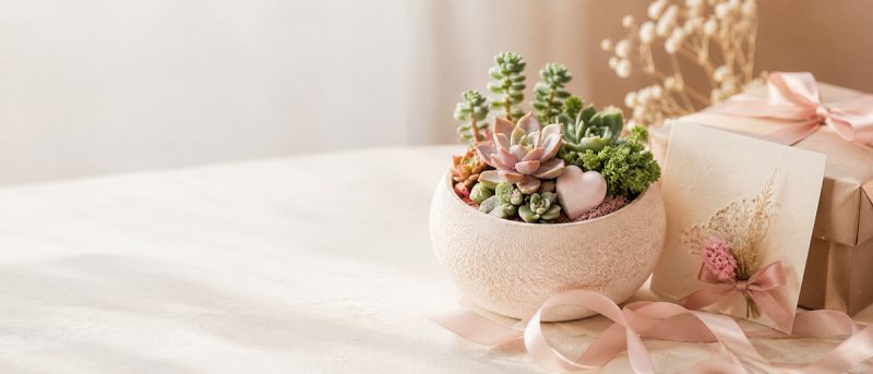 Top 10 Món Quà Tặng 20/10 Cho Người Yêu Tinh Tế, ý Nghĩa