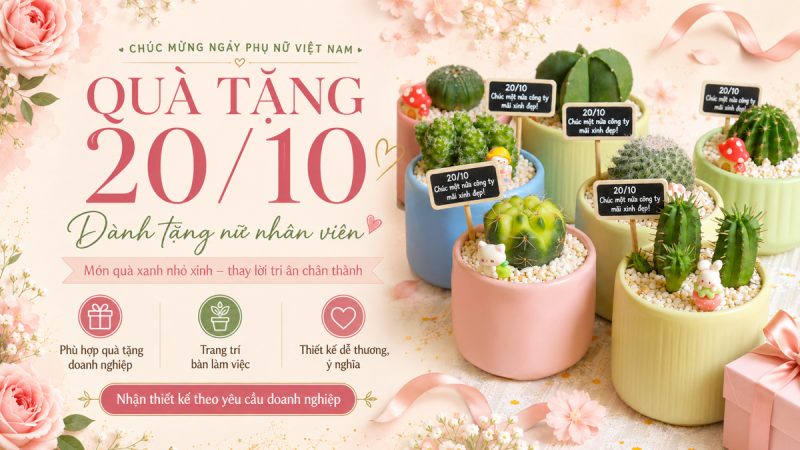 Top 10 Quà Tặng 20/10 Cho Nhân Viên Nữ Thiết Thực Dễ Triển Khai