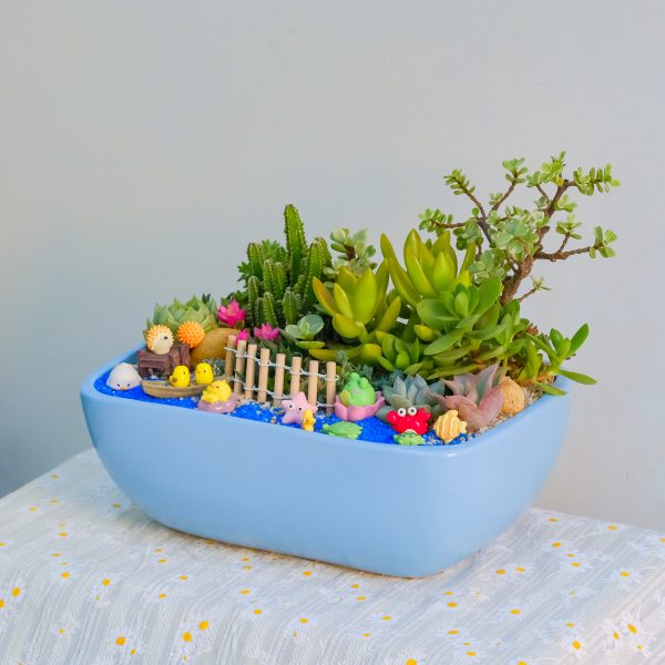 Tiểu Cảnh Sen Đá Xương Rồng Đại Dương – Chậu Thuyền 25 × 17 × 10 Cm
