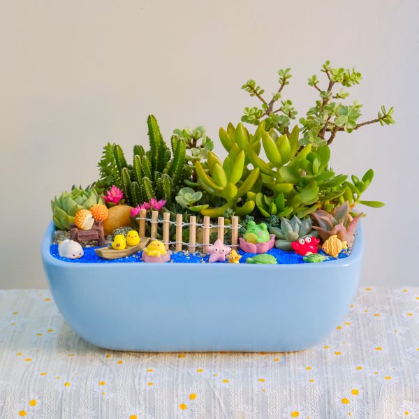 Tiểu Cảnh Sen Đá Xương Rồng Đại Dương – Chậu Thuyền 25 × 17 × 10 Cm