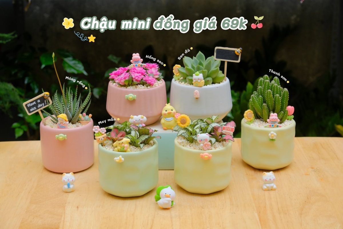 Tổ Xanh Cung Cấp Những Sản Phẩm Và Dịch Vụ Gì?
