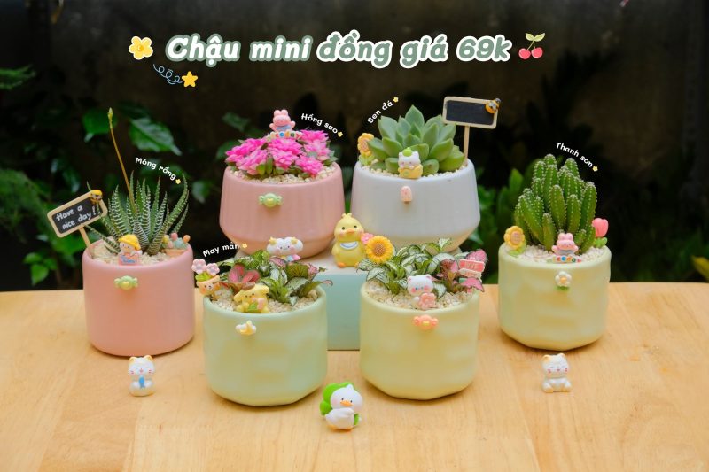 Tổ Xanh Cung Cấp Những Sản Phẩm Và Dịch Vụ Gì?