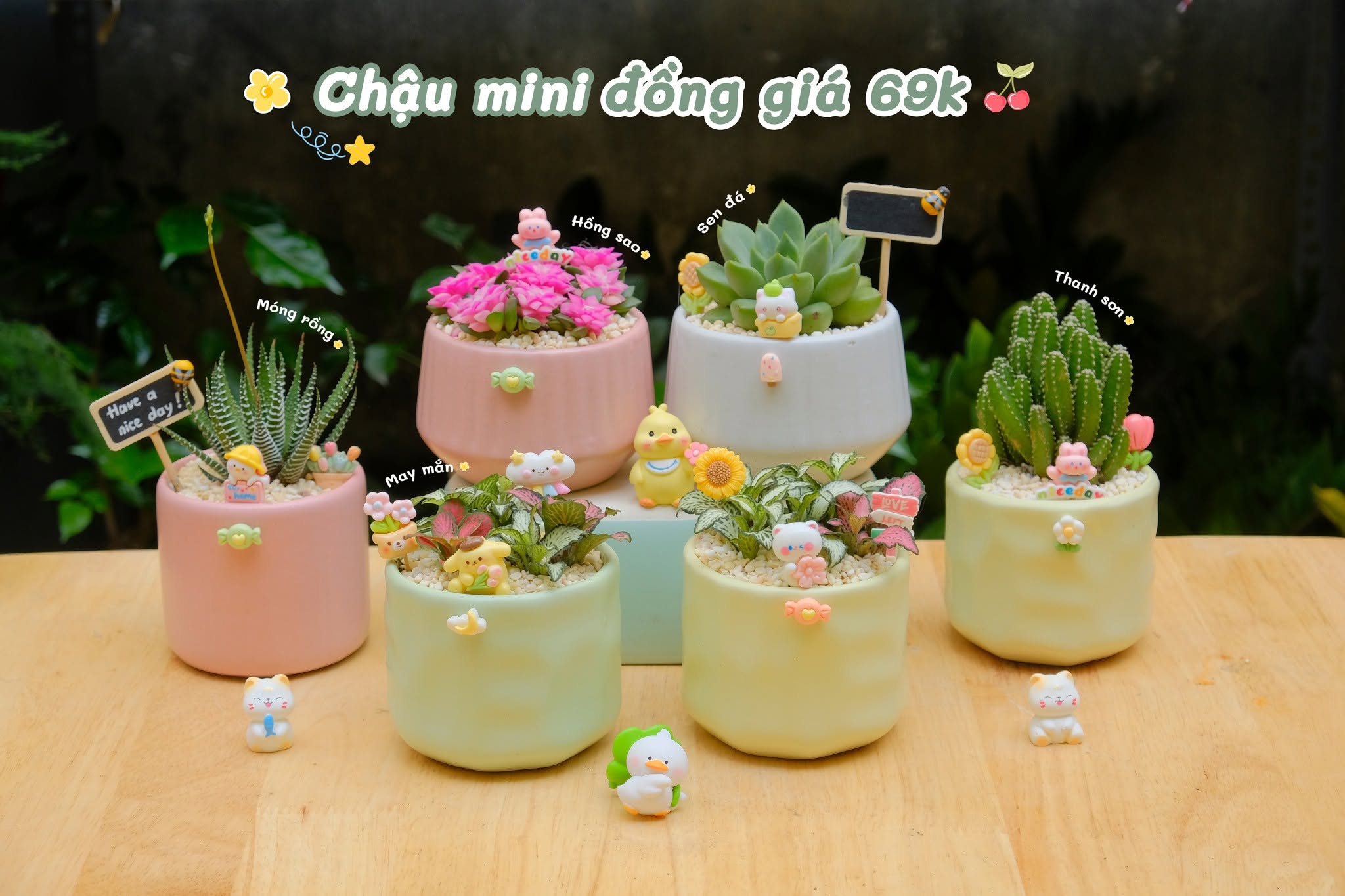 Tổ Xanh Cung Cấp Những Sản Phẩm Và Dịch Vụ Gì?