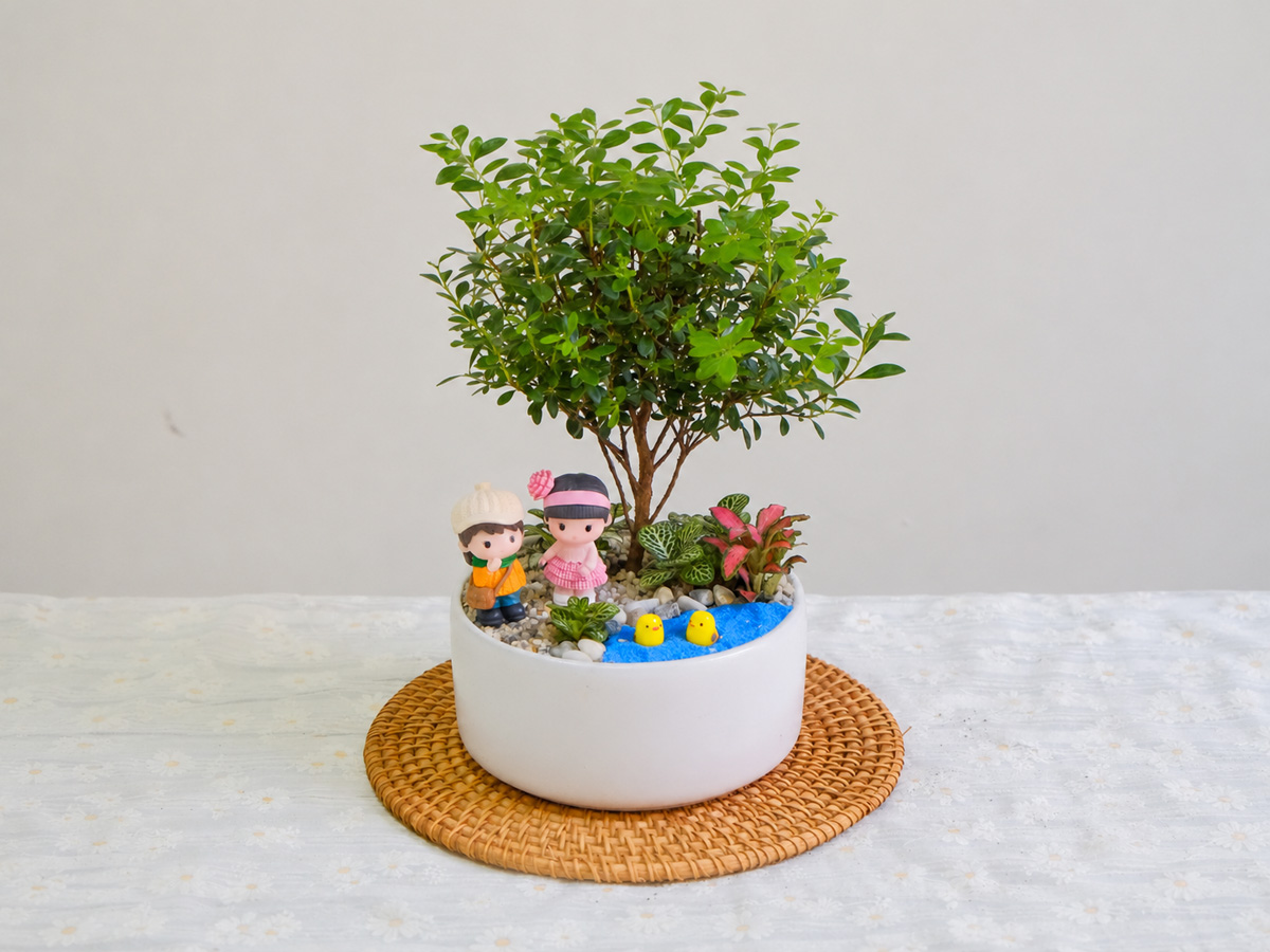 Tổ Xanh cung cấp các mẫu tiểu cảnh và chậu cây phối sẵn là lựa chọn phù hợp