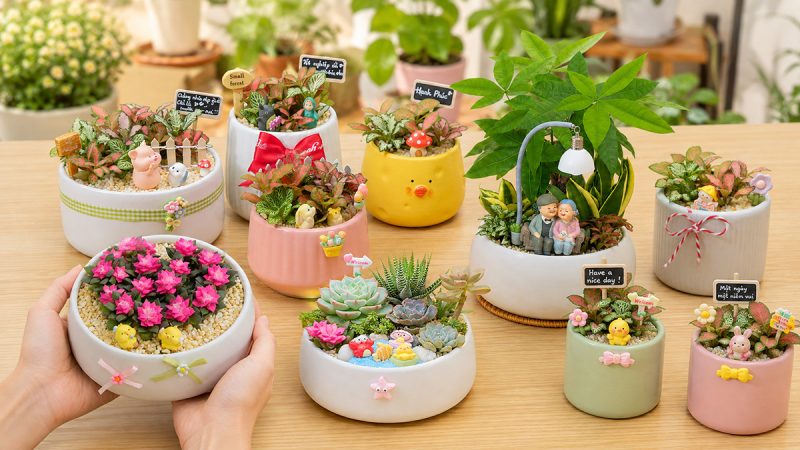 Bạn Thân Tốt Nghiệp Tặng Gì?: 12+ Món Ý Nghĩa Và Dễ Cá Nhân Hóa