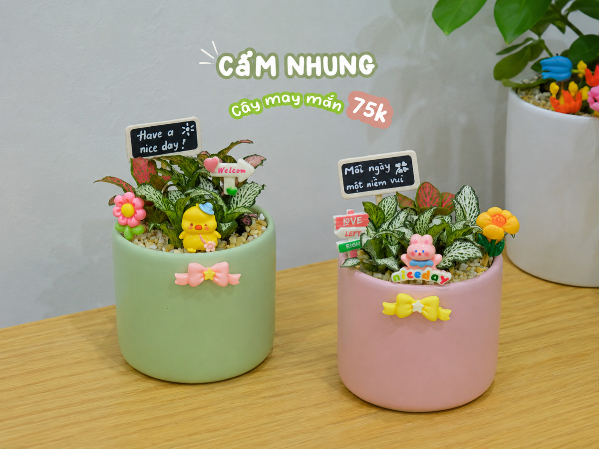 Quà Tặng Nữ Giới: 15 Gợi Ý Tinh Tế, Ý Nghĩa
