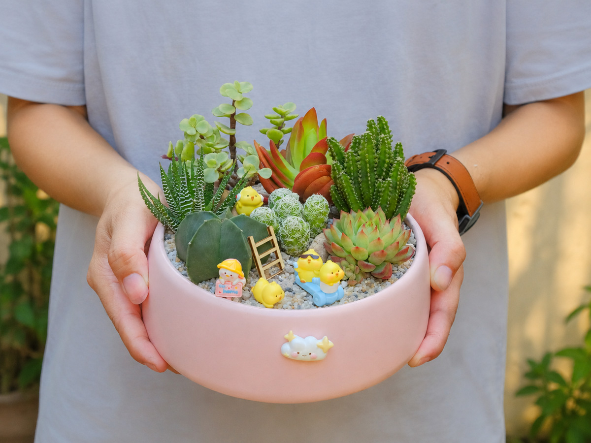 Quà Tặng Nữ Giới: 15 Gợi Ý Tinh Tế, Ý Nghĩa Tiểu cảnh mix – món quà mang câu chuyện riêng