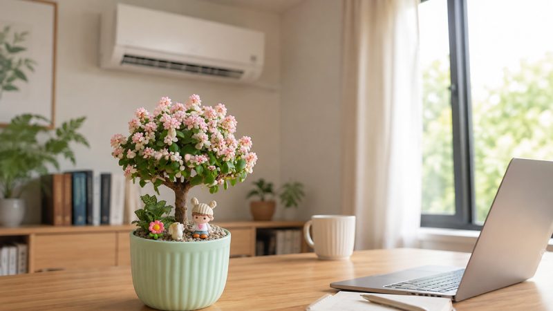 Sen Đá Đô La Cần Nắng Không? Đặt Trong Phòng Máy Lạnh Được Không?
