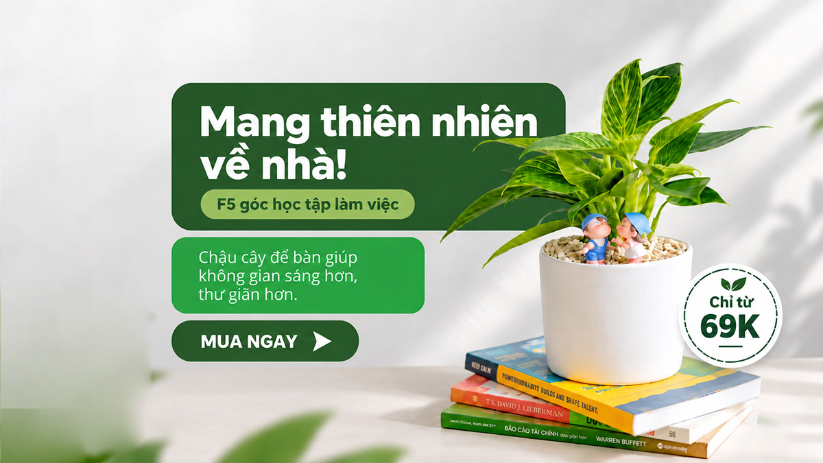 Chậu cây để bàn