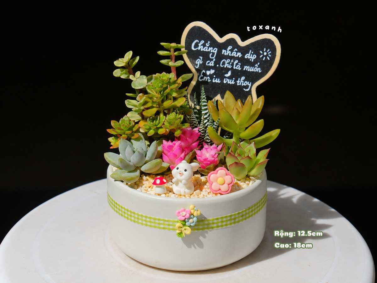 Bật Mí 10 Chậu Cây Tặng Vợ, Người Yêu 20/10: Lãng Mạn, Xinh Xắn Và Dễ Chăm