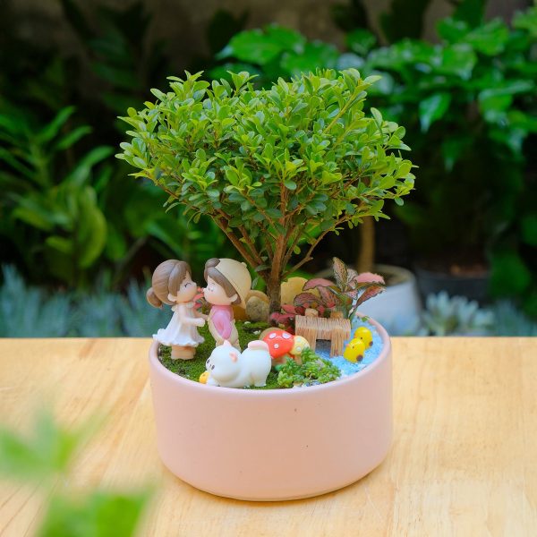 Tiểu Cảnh Tiểu Diệp Xích Nam Để Bàn Biểu Tượng Tài Lộc & Thịnh Vượng