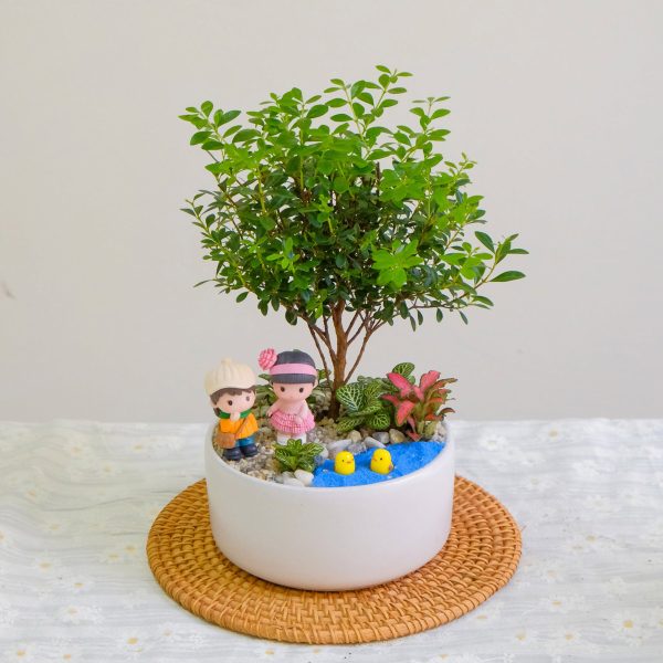 Tiểu Cảnh Tiểu Diệp Xích Nam Để Bàn Biểu Tượng Tài Lộc & Thịnh Vượng
