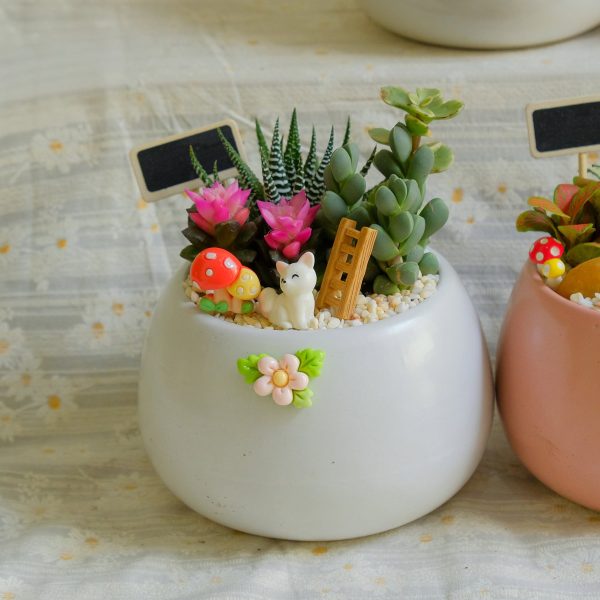 Chậu Hạt Dẻ Mix Cây Mini – Tiểu Cảnh May Mắn, Trang Trí Bàn Làm Việc