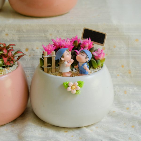 Chậu Hạt Dẻ Mix Cây Mini – Tiểu Cảnh May Mắn, Trang Trí Bàn Làm Việc