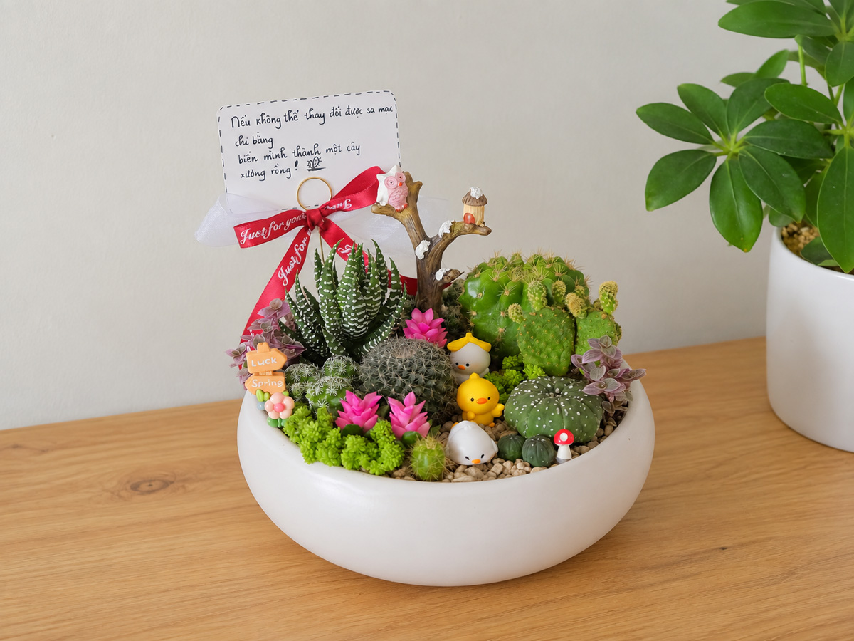 Vì Sao Sen đá được Nhiều Người Chọn Làm Quà Tặng? Gợi ý Các Mẫu đẹp Tại Tổ Xanh