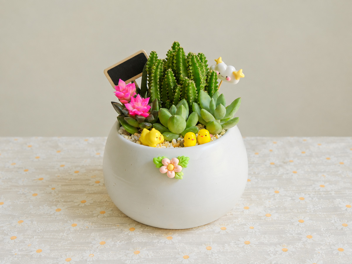 Vì Sao Sen đá được Nhiều Người Chọn Làm Quà Tặng? Gợi ý Các Mẫu đẹp Tại Tổ Xanh